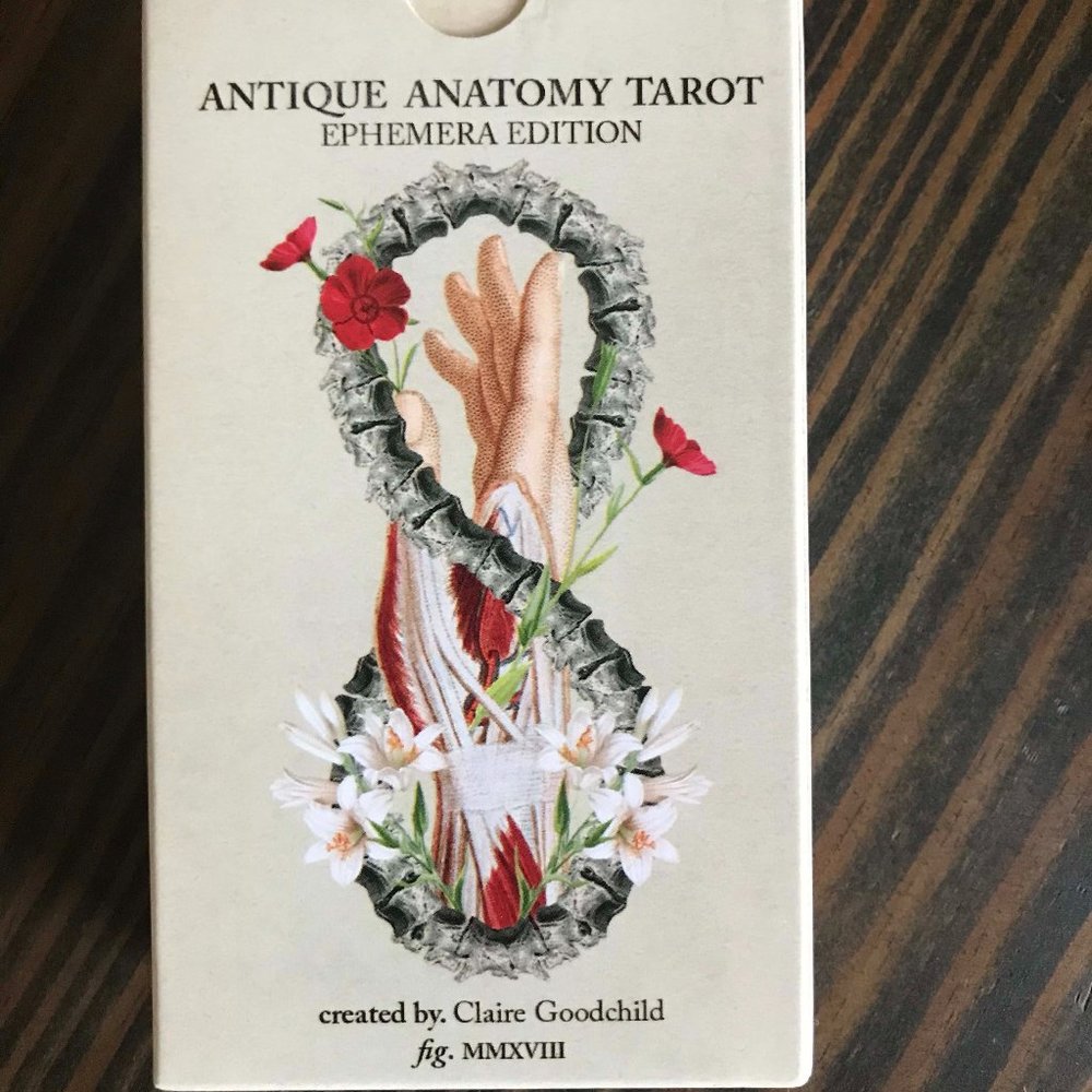 RARE Antique Anatomy Tarot OOP Ephemera Edition